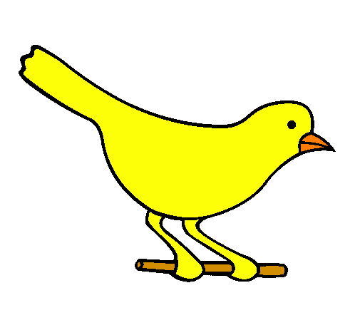 Uccello 4