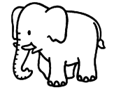 Disegno Elefante bebè  pitturato su elefante bn
