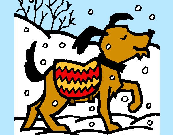 cane sulla neve