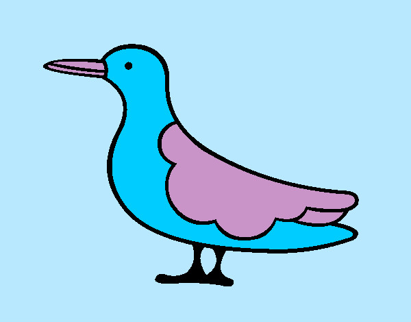 Uccello 3