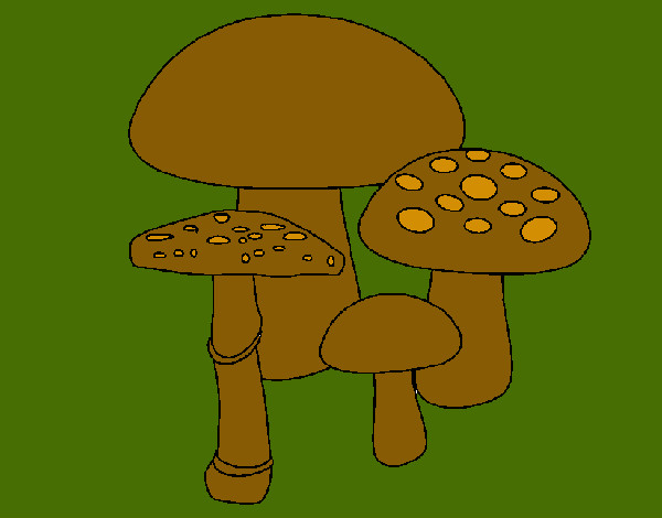 Disegno Funghi pitturato su marigenny