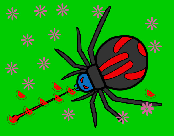 Disegno Spider veleno espulso pitturato su gabrydiddi