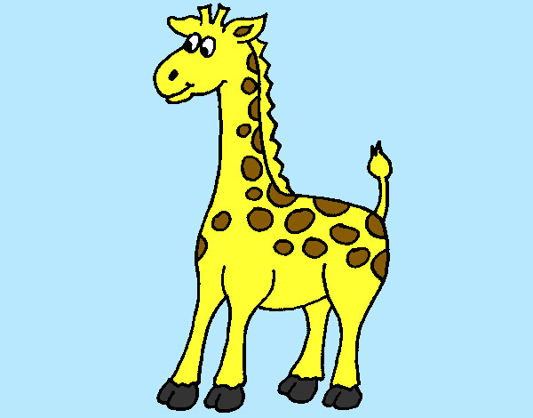 Giraffa 4