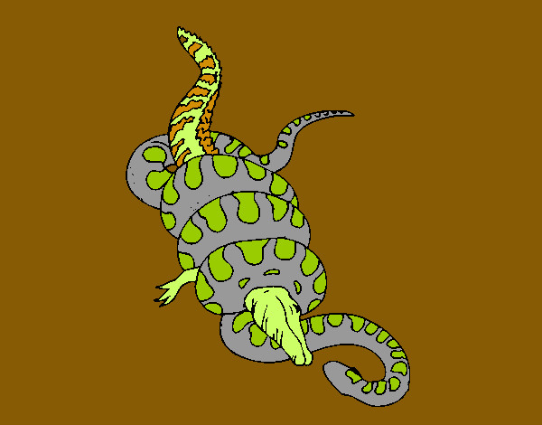 Disegno Anaconda e caimano  pitturato su Alessandro