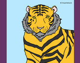Disegno Tigre pitturato su anto1978