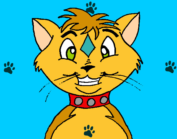 Disegno Gatto con il collare  pitturato su giulipet
