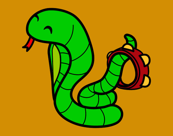 Disegno Cobra con tamburello pitturato su rocksana