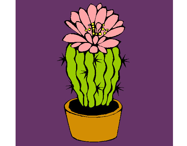 Disegno Cactus fiorito  pitturato su giuls