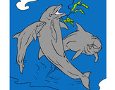 Disegno Delfini che giocano  pitturato su evangelin