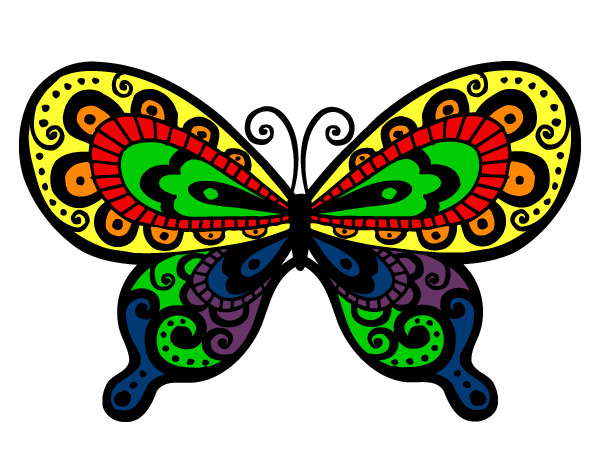 Farfalla bella