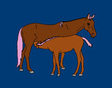 Disegno Cavalli  pitturato su rosalinda