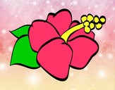 Disegno Lagunaria fiore pitturato su rosalinda