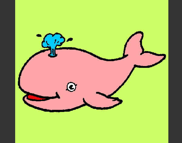 balena rosa