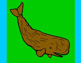 201220/balena-enorme-animali-il-mare-dipinto-da-saul-1059105_163.jpg