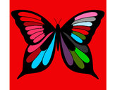 Disegno Farfalla 19 pitturato su carolengi