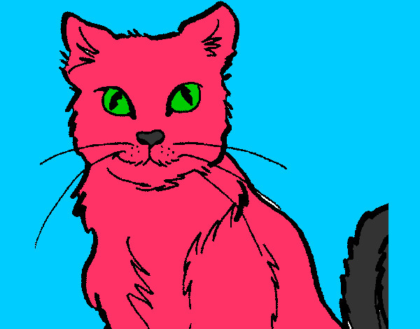 gattina rosa tenera tenera