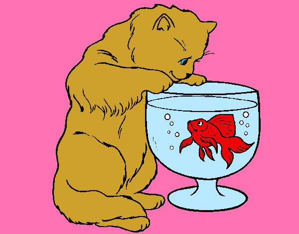 Disegno Gatto che osserva il pesciolino  pitturato su Farfallina
