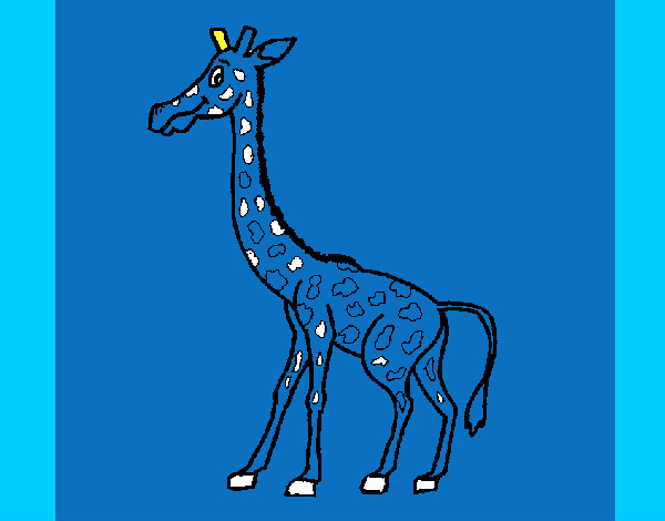 Disegno Giraffa  1 pitturato su Diana