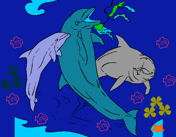 Disegno Delfini che giocano  pitturato su helena