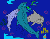 Disegno Delfini che giocano  pitturato su helena