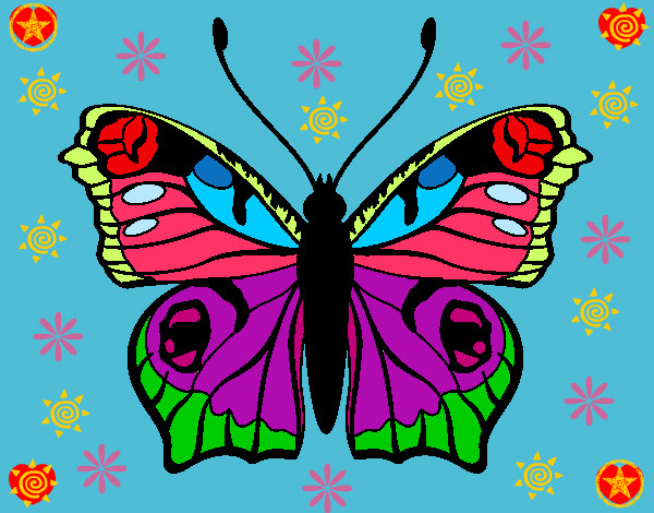 Disegno Farfalla 20 pitturato su Mikyetresy