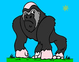 Disegno Gorilla pitturato su ant026