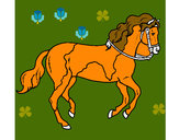 Disegno Cavallo 5 pitturato su lori 
