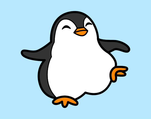 il pinguino