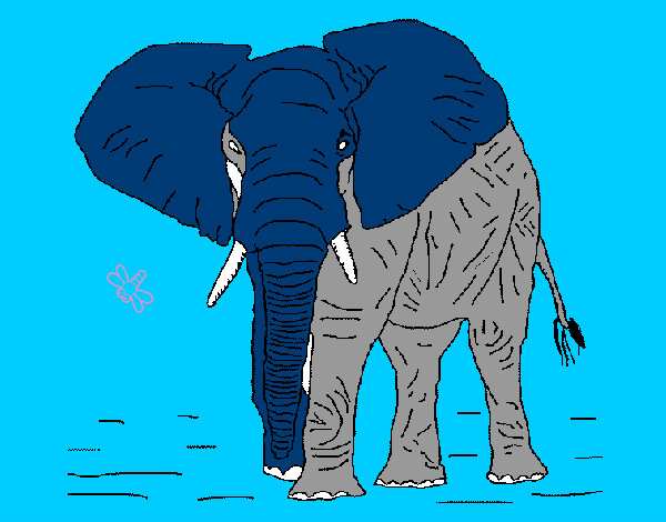 Disegno Elefante  1 pitturato su alberto982