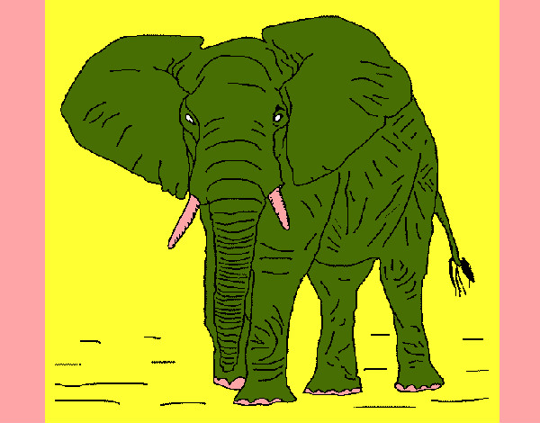 Disegno Elefante  1 pitturato su WalViolet