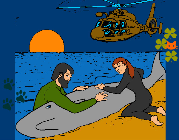 Disegno Salvataggio di una balena pitturato su helena