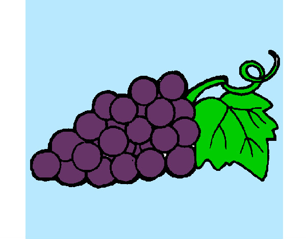 grappolo di uva