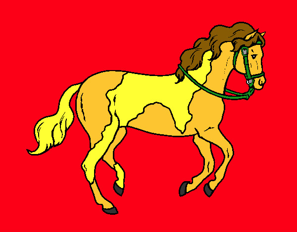 Disegno Cavallo 5 pitturato su coretto