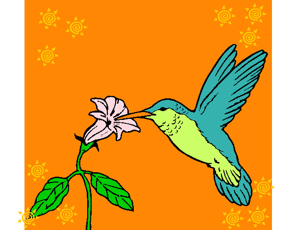Disegno Colibrì con un fiore  pitturato su aless
