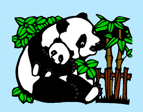 Disegno Mamma panda  pitturato su marti625