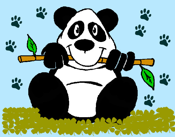 panda con il bambu
