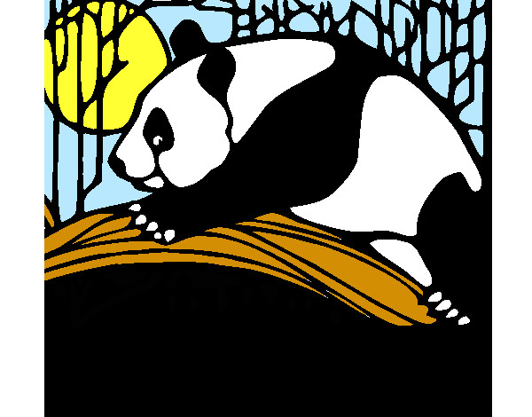 Disegno Oso panda che mangia  pitturato su marti625