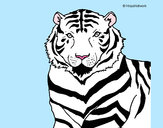 Disegno Tigre pitturato su ketty10