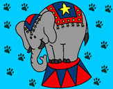 Disegno Elefante in scena  pitturato su vincenzo
