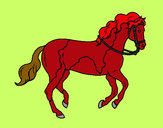Disegno Cavallo 5 pitturato su GinVic