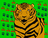 Disegno Tigre pitturato su pippy