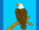 Disegno Aquila su un ramo pitturato su blake