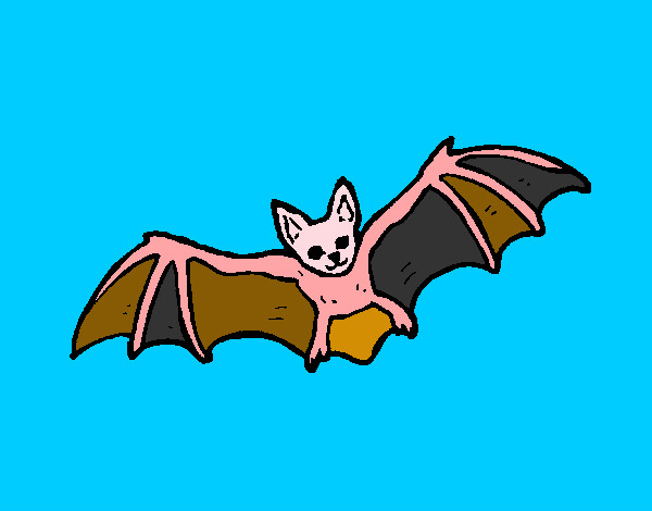 Disegno Pipistrello in volo  pitturato su RIKIONDOLO