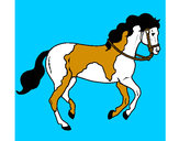 Disegno Cavallo 5 pitturato su blake