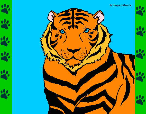 Disegno Tigre pitturato su blake
