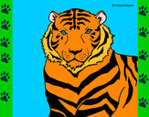 Disegno Tigre pitturato su blake