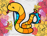Disegno Cobra con tamburello pitturato su Gaiac