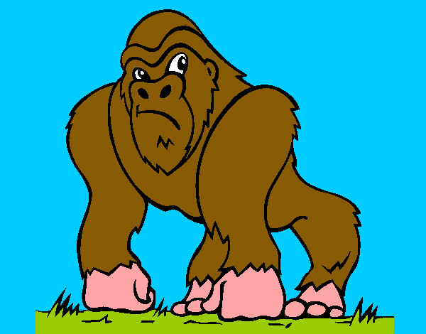 Il gorilla di Diana