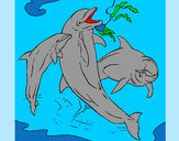 Disegno Delfini che giocano  pitturato su Gaiac