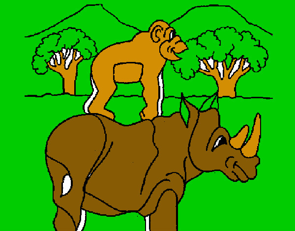 Rinoceronte e scimmietta 
